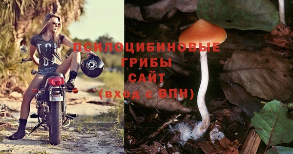 эйфоретик Баксан