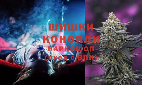 эйфоретик Баксан