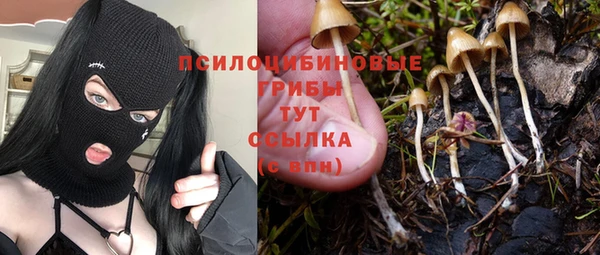 эйфоретик Баксан