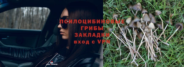 гашик Балахна