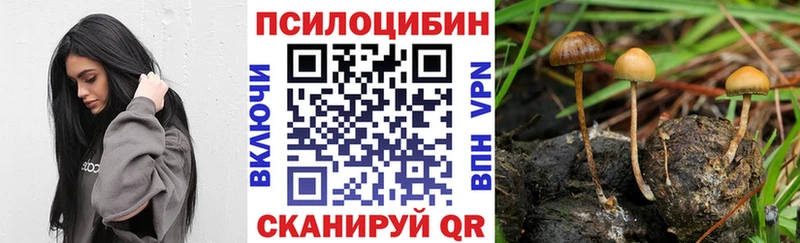 Псилоцибиновые грибы MAGIC MUSHROOMS  хочу наркоту  Хилок 